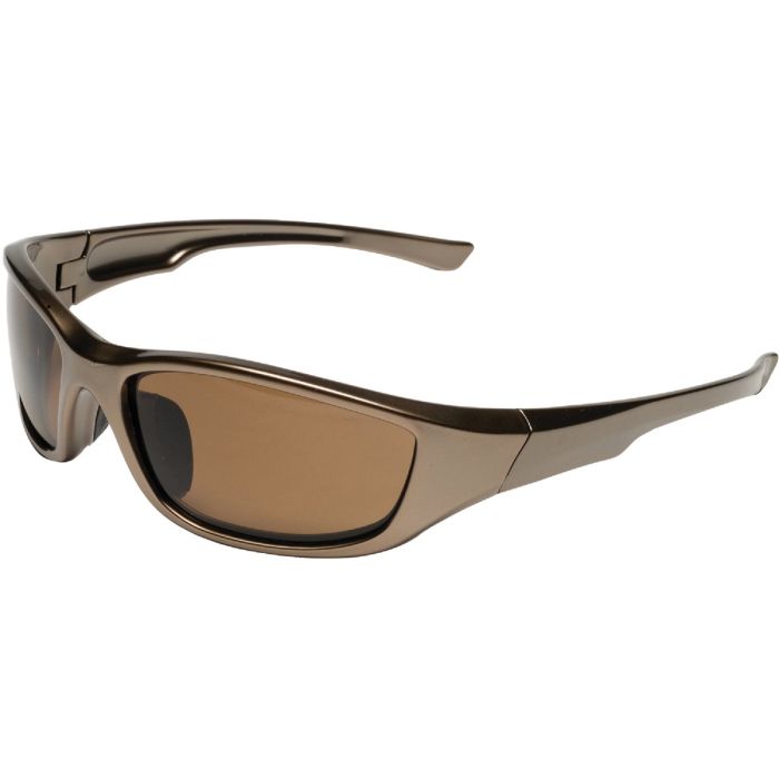 Polarized Safety Glasses