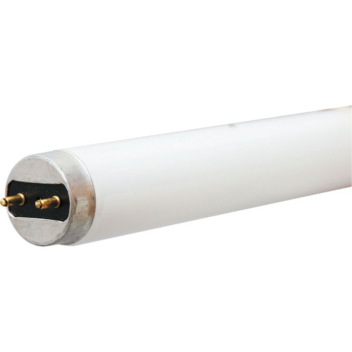 17w T8 Bw Fluor Tube