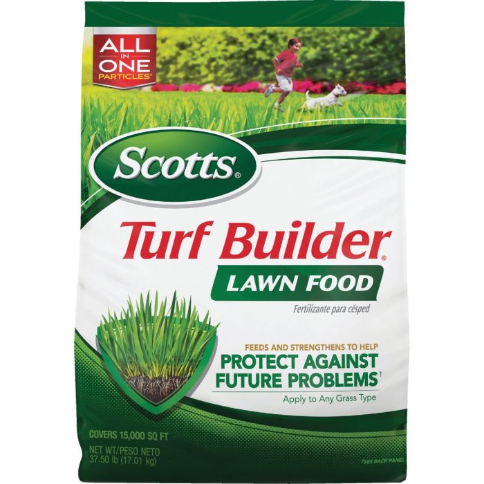Image of the product
