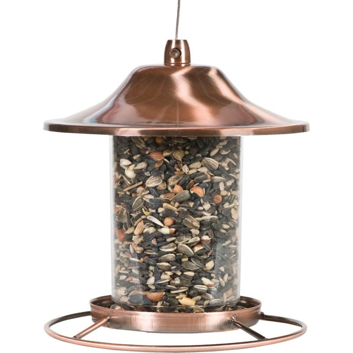 Image of the product