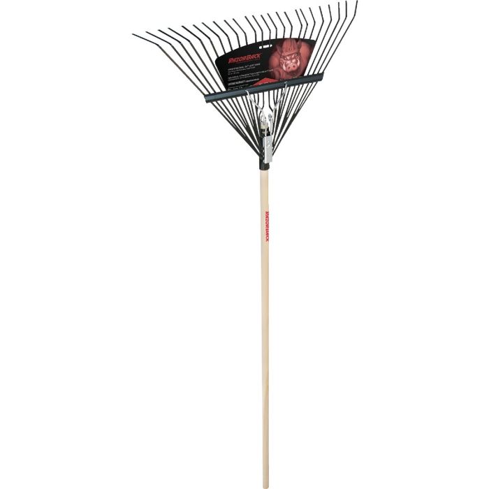 Image of the product