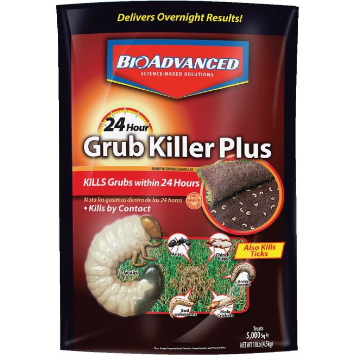 Image of the product