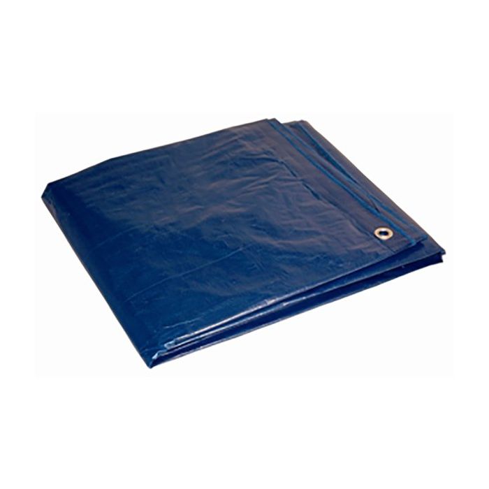 Formost Tarp 5'X7' Blue Econ