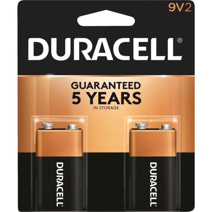 2pk 9v Alkaline Battery