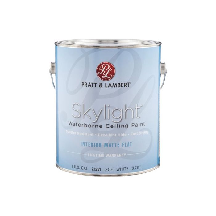 Skylite Soft Wh Ceiling Pnt Gal