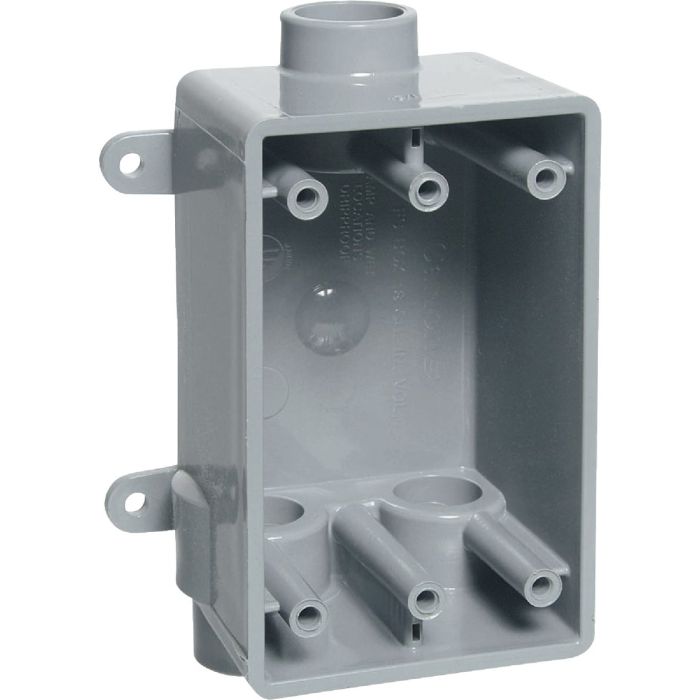 Image of the product