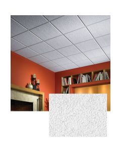 USG Eclipse 2 Ft. x 2 Ft. Mineral Fiber Suspended Acoustical Ceiling Panels (12-Count)