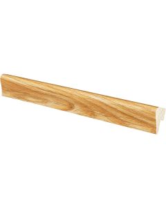 Inteplast Building Products 5/16 In. W. x 1-1/8 In. H. x 8 Ft. L Majestic Oak Polystyrene Cap Molding