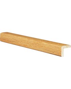 Inteplast Building Products 15/16 In. W. x 15/16 In. H. x 8 Ft. L. Majestic Oak Polystyrene Large Outside Corner Molding