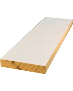 Alexandria Moulding 1 In. W. x 4 In. H. x 8 Ft. L. White Finger Joint Pine Board