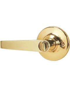 Steel Pro Polished Brass Entry Door Lever