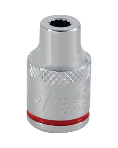 Channellock 3/8 In. Drive 3/16 In. 12-Point Shallow Standard Socket