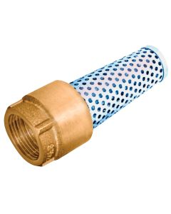 Simmons 1 In. 200 psi Bronze Foot Valve, Lead Free