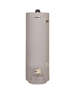 Reliance 40 Gal. Tall 6yr 32,000 BTU Direct Vent Natural Gas/Liquid Propane Water Heater for Mobile Home
