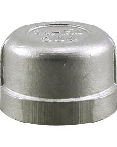 PLUMB-EEZE 1/2 In. FIP Stainless Steel Cap