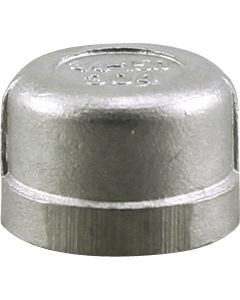 PLUMB-EEZE 1 In. FIP Stainless Steel Cap