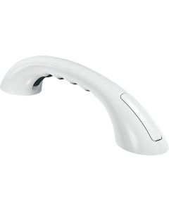 Moen Home Care 9 In. Concealed Screw Grab Bar with Rubber Pad, Glacier