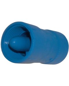 Campbell Brady 1 In. Acetal Polymer Spring Loaded Check Valve