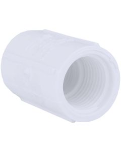 Charlotte Pipe 3/4 In. FIP Sch. 40 Threaded PVC Coupling