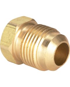 Do it 1/2 In. Brass Low Lead Flare Plug