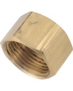 Anderson Metals 1/2 In. Brass Compression Cap