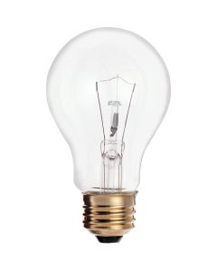 Satco 25W Clear Medium Base A19 Incandescent Light Bulb (2-Pack)