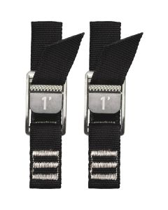 NRS 1 In. x 1 Ft. Stealth Black Heavy Duty Tie-Down Strap (2-Pack)