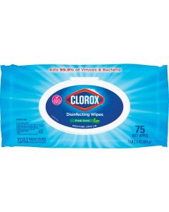 Clorox Fresh Scent Disinfecting Cleaning Wipes Flexpack (75-Count)