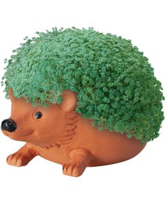 Chia Pet Hedge Hog Decorative Pottery Planter