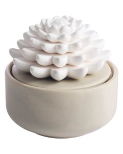 Candle Warmers Airome Porcelain Essential Oil Diffuser - Succulent