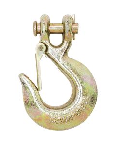 Campbell 3/8 In. Grade 70 Clevis Slip Hook with Latch