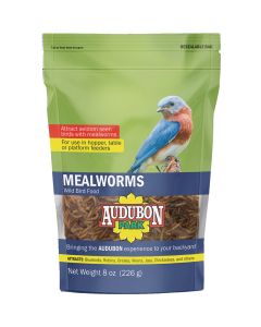 Audubon Park 8 Oz. Dried Mealworms