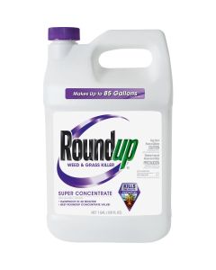 Roundup 1 Gal. Super Concentrate Weed & Grass Killer
