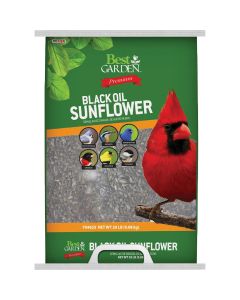 20lb Oil Sunflower Seed