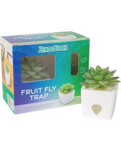 ZendoZones Tranquil Tabitha Fruit Fly Trap