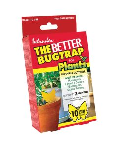 Intruder The Better Bugtrap for Plants Disposable Indoor/Outdoor Insect Trap (10-Pack)
