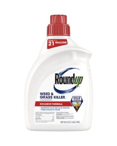 Roundup 1/2 Gal. Exclusive Formula Concentrate Weed & Grass Killer