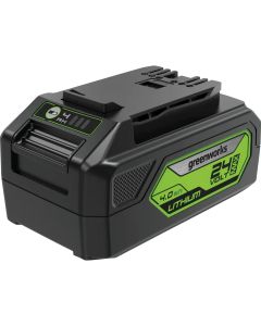 Greenworks 24V 4.0Ah USB Battery