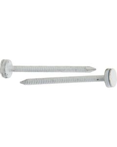 Do it 2 In. 10 ga Hot Galvanized Roofing Nails (96 Ct., 1 Lb.).