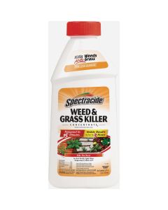 Spectracide Weed & Grass Killer2 16 Oz. Concentrate