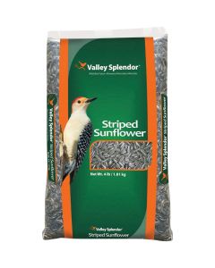 Valley Splendor 4 Lb. Striped Sunflower Seed