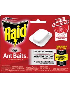 Raid 0.24 Oz. Solid Ant Bait Station (4-Pack)