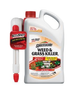 Spectracide Weed & Grass Killer2 1 Gal. Ready To Use with Accushot Sprayer
