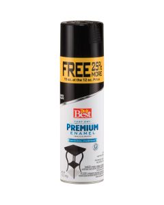 Do it Best Premium Enamel 15 Oz. Gloss Bonus Can Spray Paint, Black
