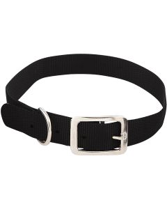Westminster Pet Ruffin' it Adjustable 24 In. Nylon Dog Collar