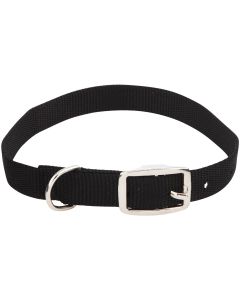 Westminster Pet Ruffin' it Adjustable 20 In. Nylon Dog Collar