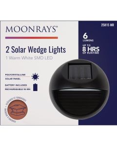 Moonrays 3 In. Black LED Solar Wedge Light (2-Pack)