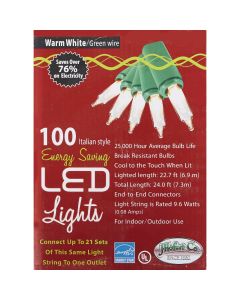 J Hofert White 100-Bulb Italian Style LED Light Set