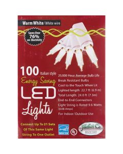 J Hofert White 100-Bulb Italian Style LED Light Set with White Wire