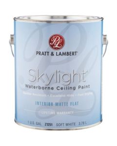 Skylite Soft Wh Ceiling Pnt Gal